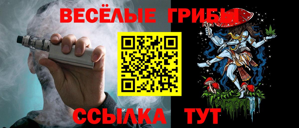 Галлюциногенные грибы Psilocybe  Вход с VPN  Полысаево 